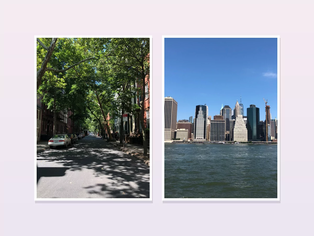 Ejemplos digitales de Clásicas 15 × 21 con fotografías de paisajes