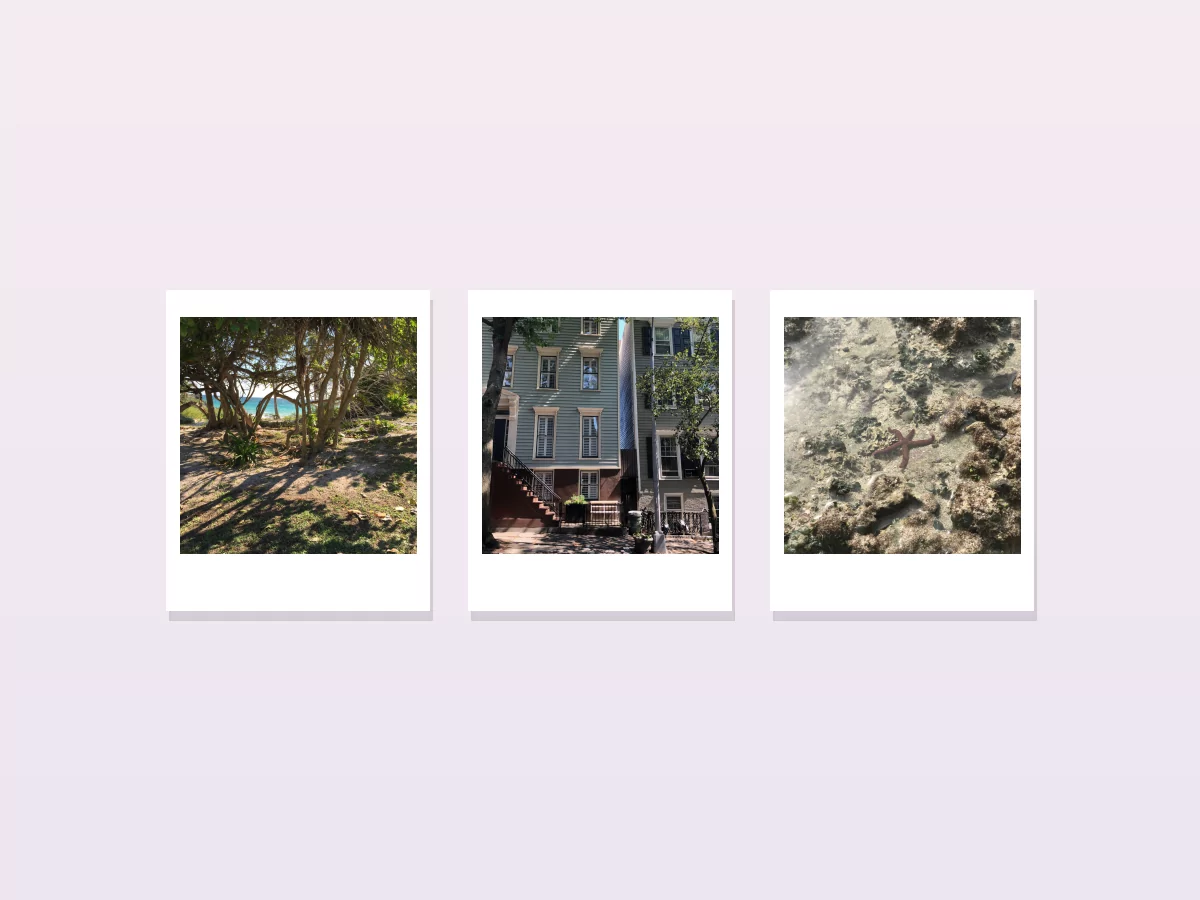 Ejemplo de Fotos estilo Polaroid con sus proporciones y márgenes de impresión