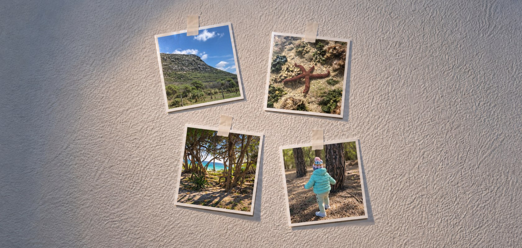 Un mosaico de fotos cuadradas 10 por 10 de una sierra, una estrella de mar, árboles costeros y una niña de espalda, en una pared.